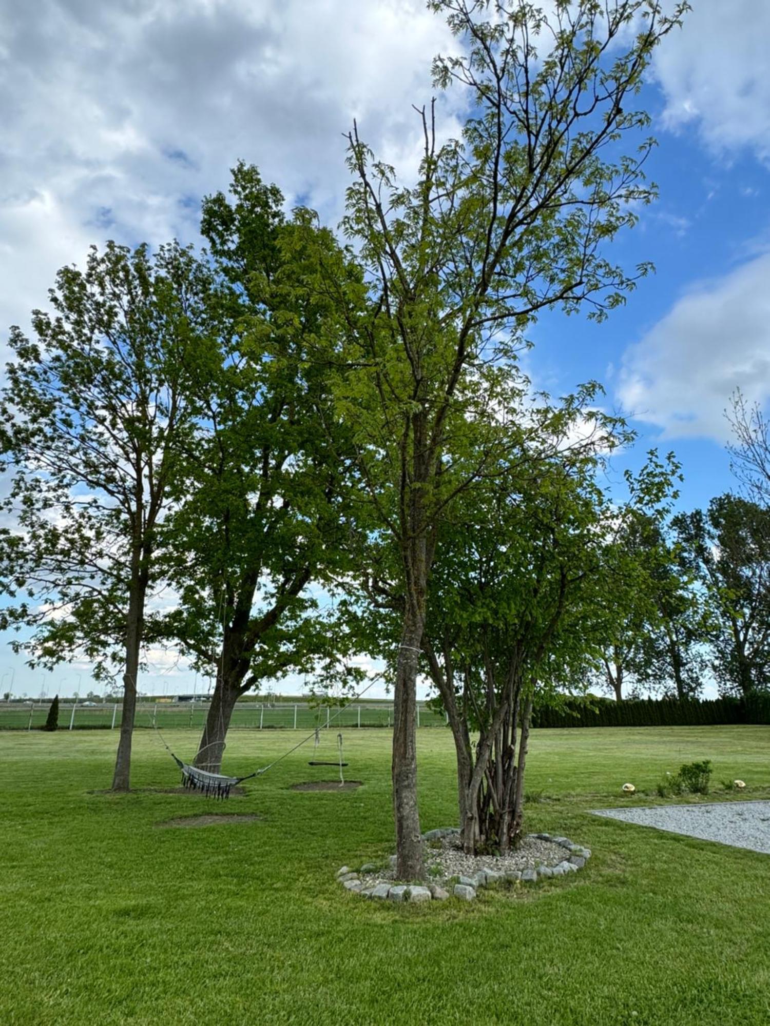 Ranczo Ryki Vila Nowy Dwór Gdański Exterior foto